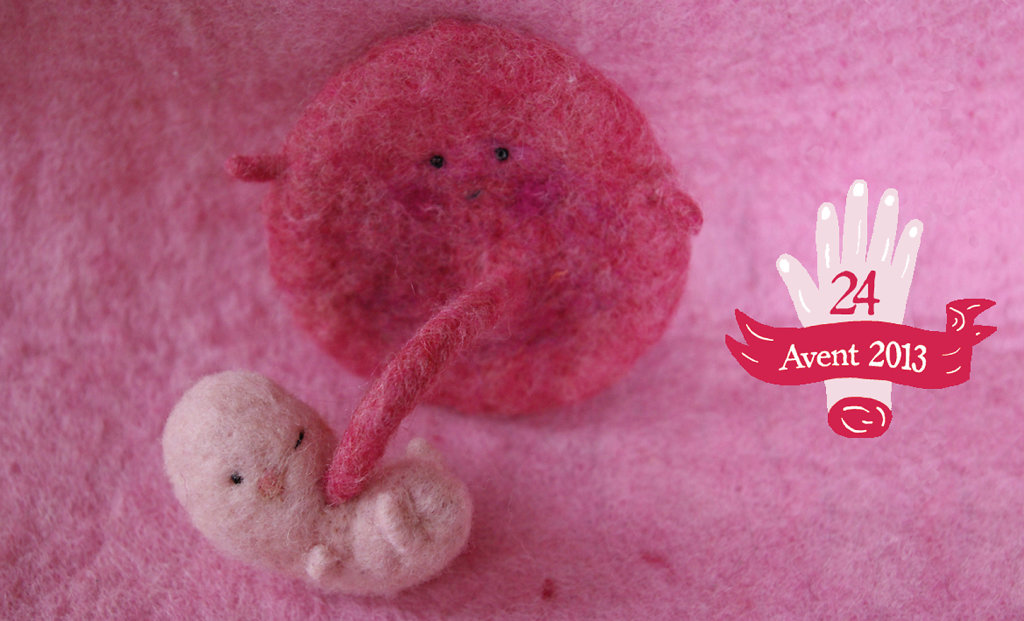 24-placenta-et-foetus.jpg